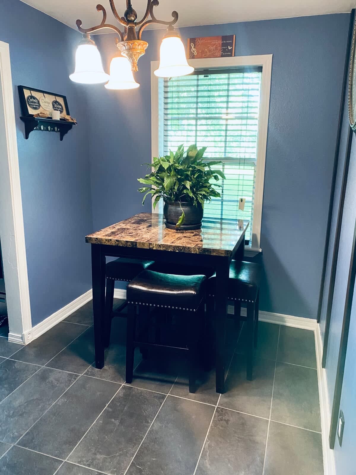 Xscapecation Oasis — photo 4